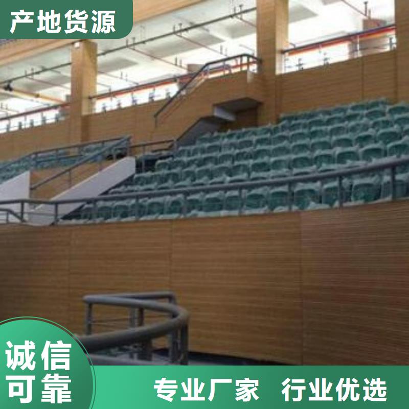 丰都县多功能体育馆吸音改造公司--2024最近方案/价格