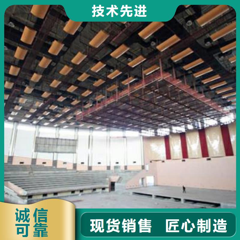 广东省汕头市和平镇体育馆声学改造公司--2024最近方案/价格