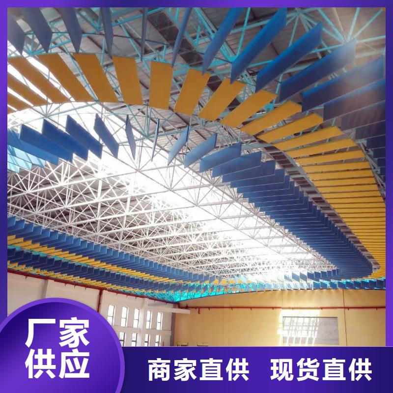 广水市专业体育馆吸音改造公司--2024最近方案/价格