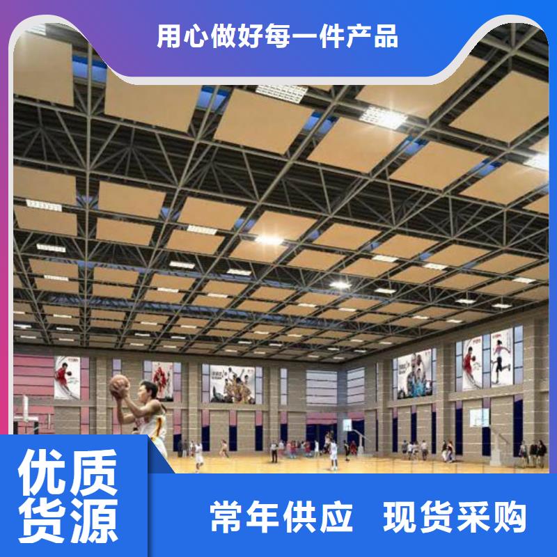 自治区大型体育馆声学改造公司--2024最近方案/价格