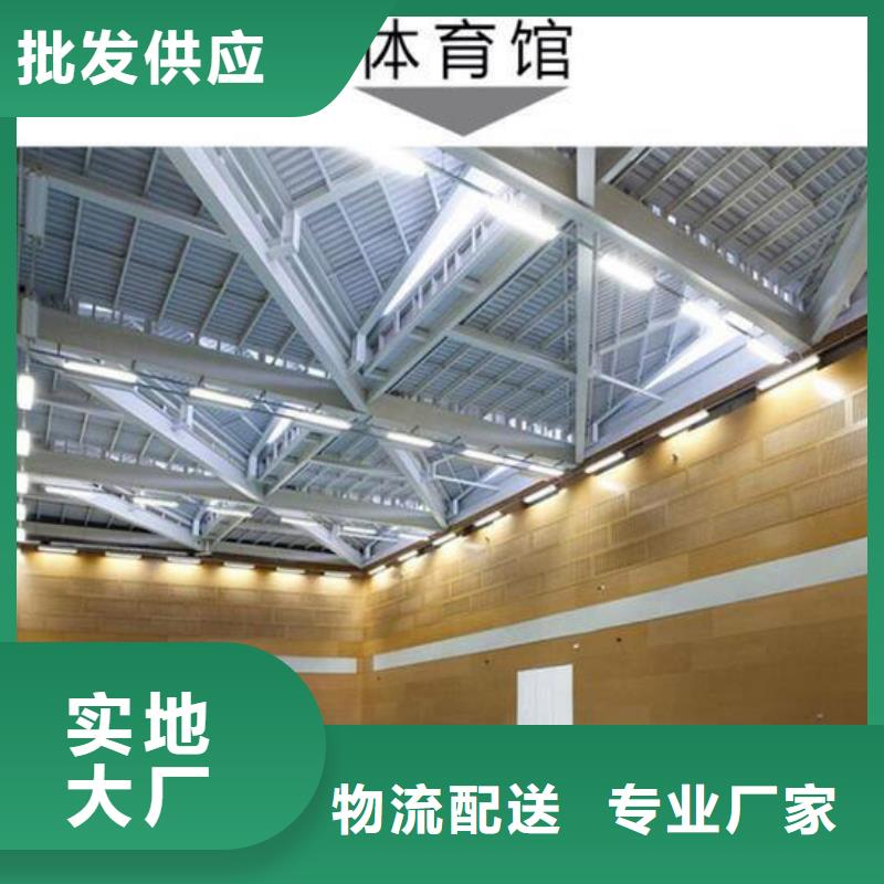 肇东县专业体育馆吸音改造方案--2024最近方案/价格