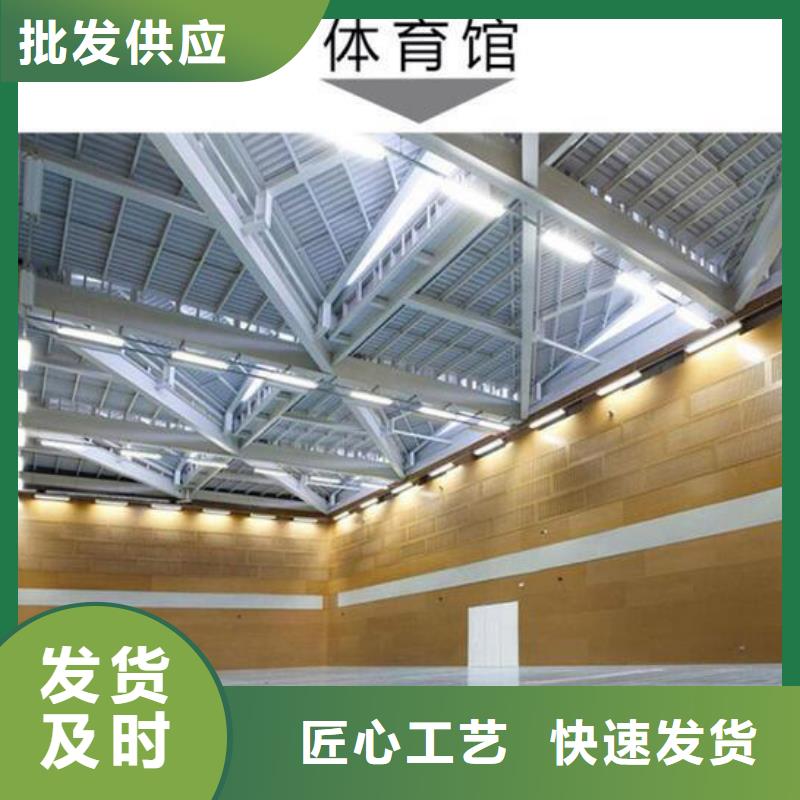 碌曲县多功能体育馆声学改造公司--2024最近方案/价格