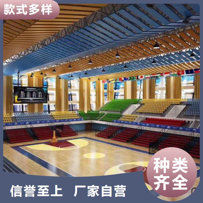 南江县大型体育馆声学改造公司--2024最近方案/价格