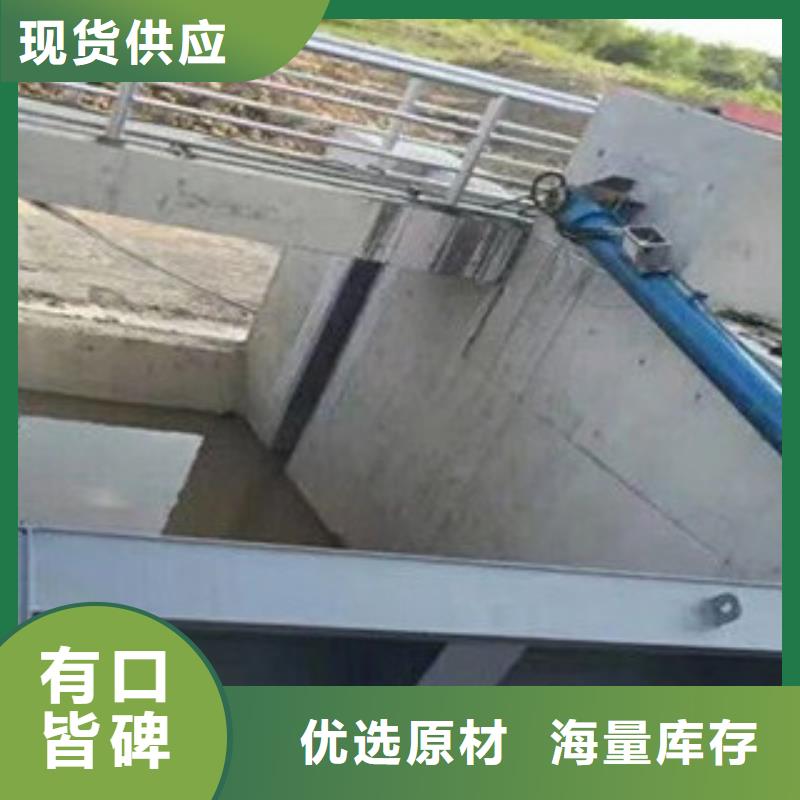 水利自動翻板閘門行業經驗可信賴