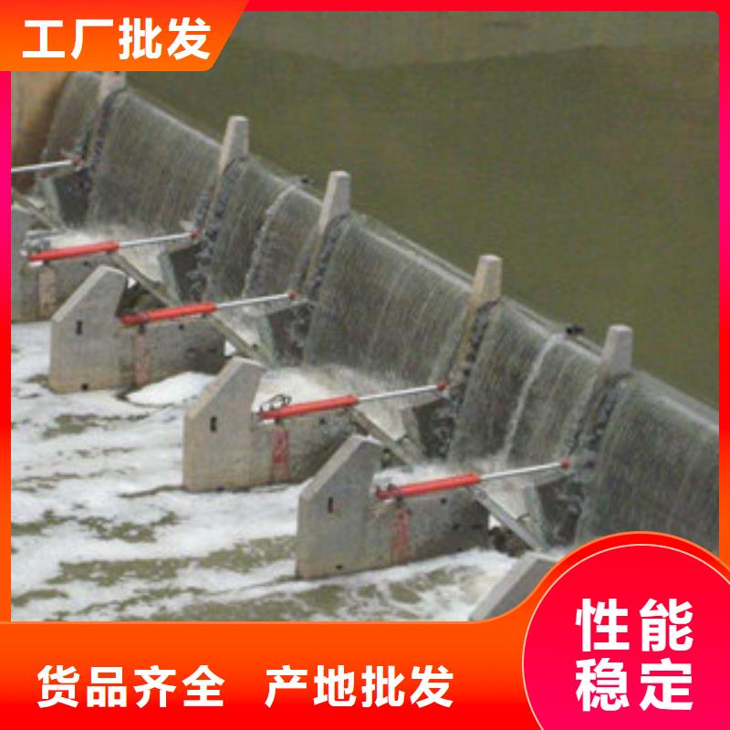 水利自動翻板閘門行業經驗可信賴