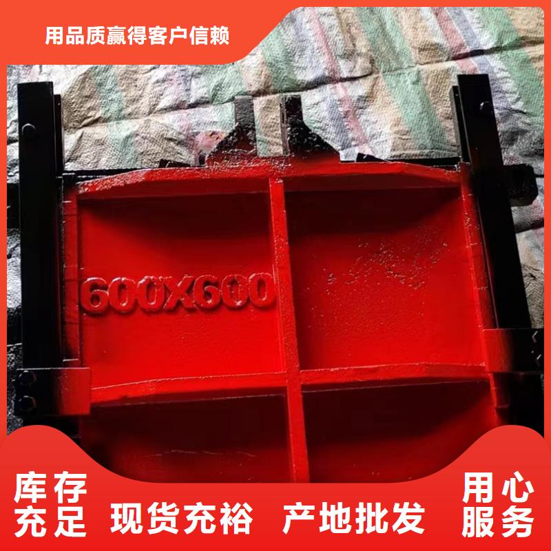 PZJY一體式鑄鐵閘門美觀大方