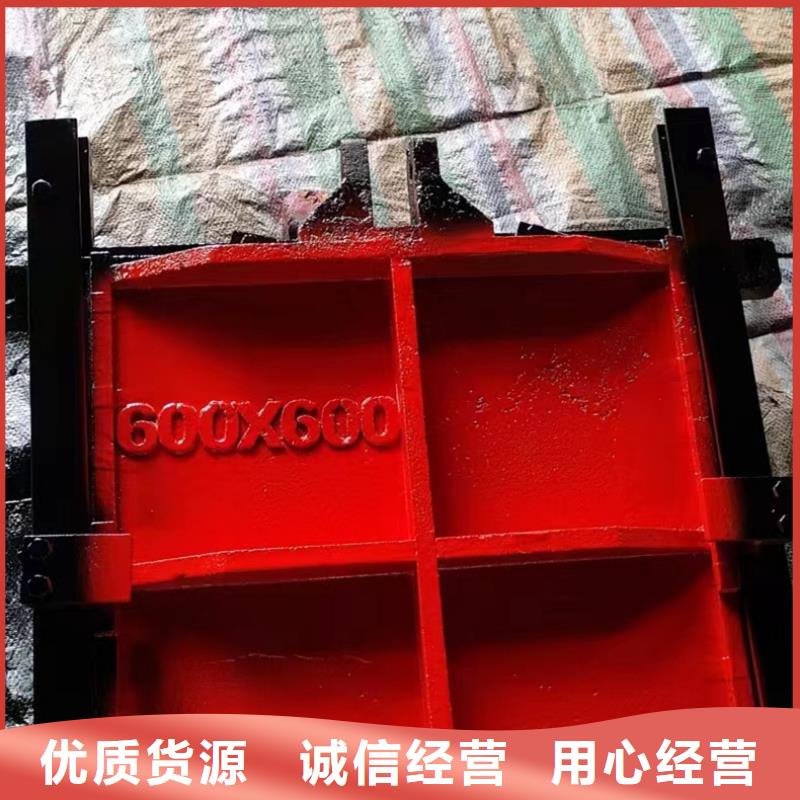 铸铁镶铜闸门生产制造厂家