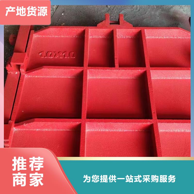 PZJY一體式鑄鐵閘門美觀大方