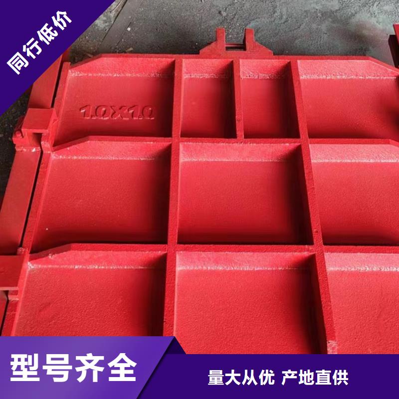 PZJY一體式鑄鐵閘門美觀大方