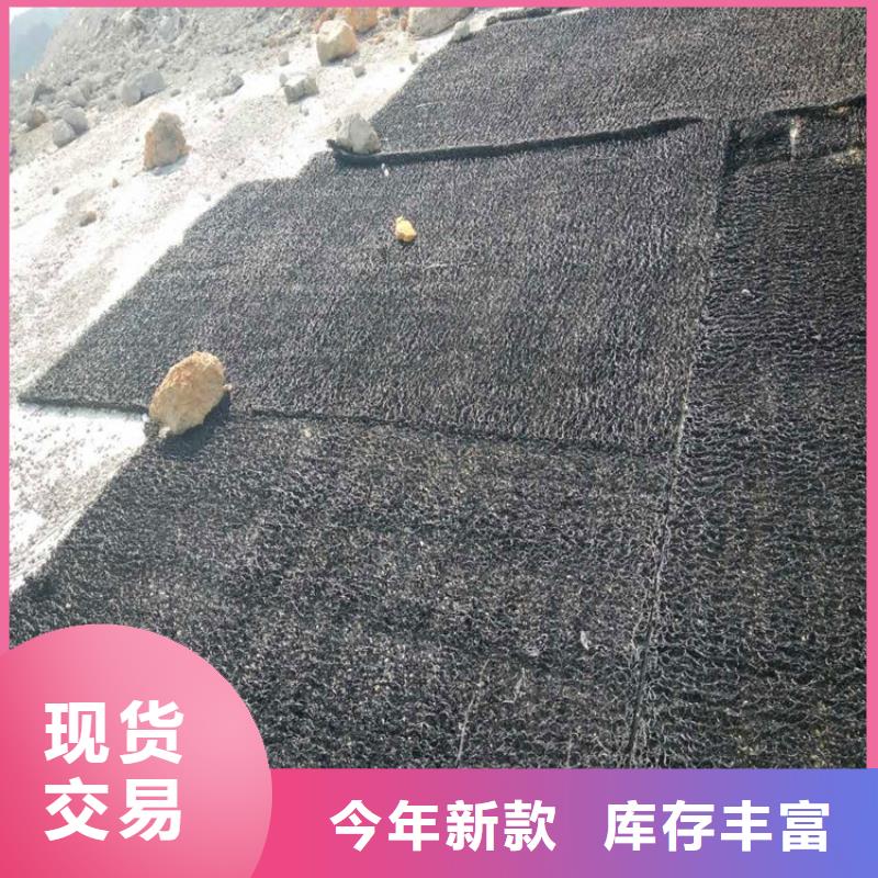 采购渗排水网垫-实体厂家可定制