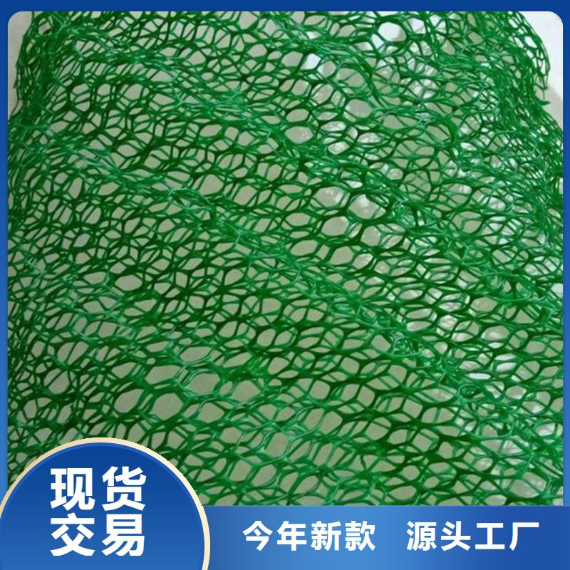 【三維植被網(wǎng)】-瀝青麻繩實體廠家支持定制