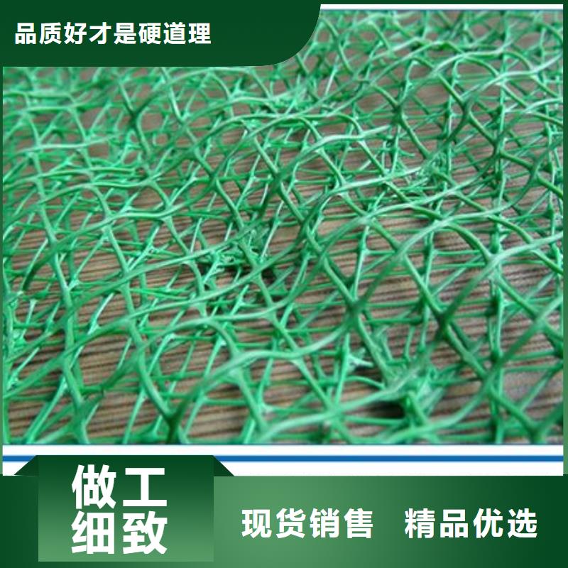 三維植被網_仿鋼塑鋼纖維廠家批發價