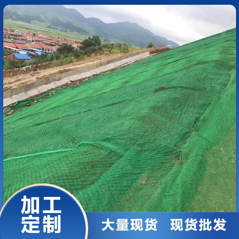 三維植被網_【止水銅片】多年廠家可靠