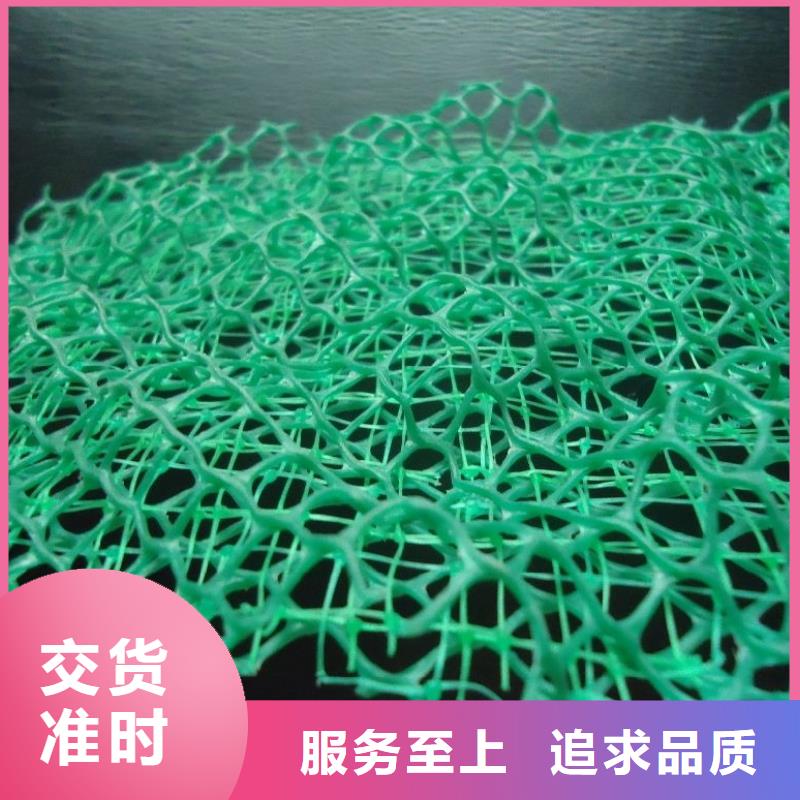 三維植被網(wǎng)-螺旋形聚乙烯醇纖維專業(yè)廠家