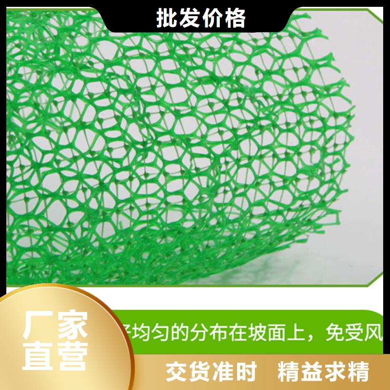 三維植被網_【止水銅片】多年廠家可靠