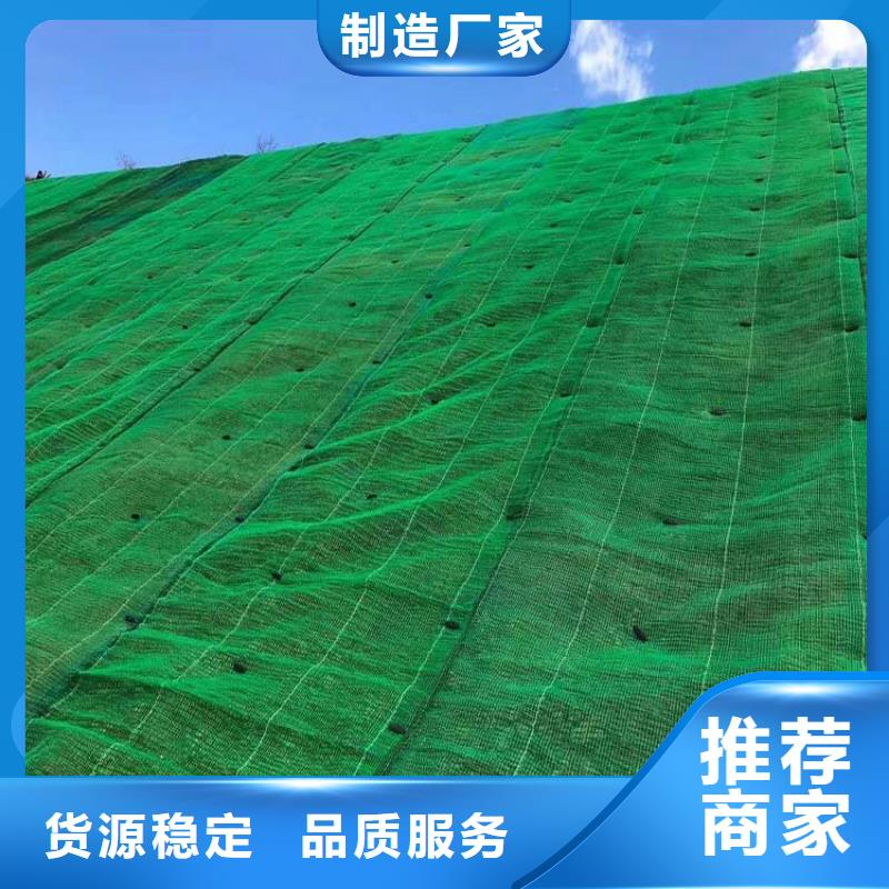 三維植被網土工膜廠家直銷省心省錢