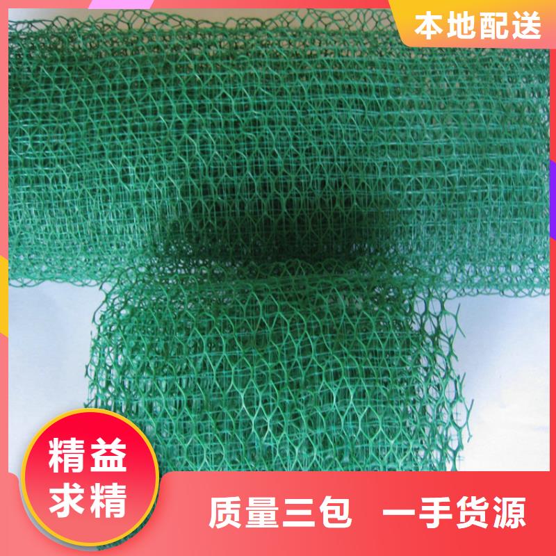【三維植被網_聚丙烯單絲纖維質量優價格低】