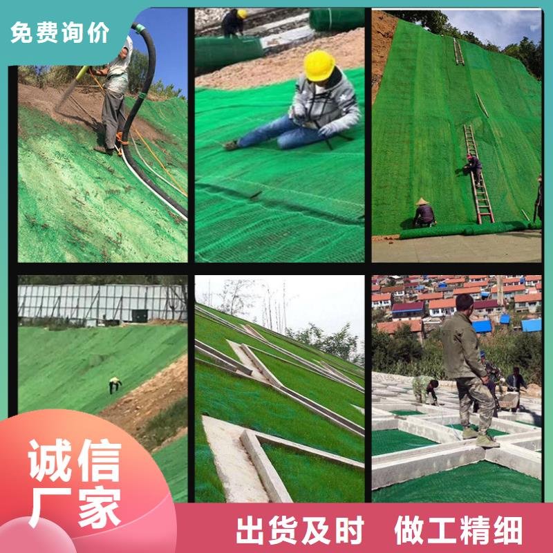 三維植被網仿鋼塑鋼纖維超產品在細節