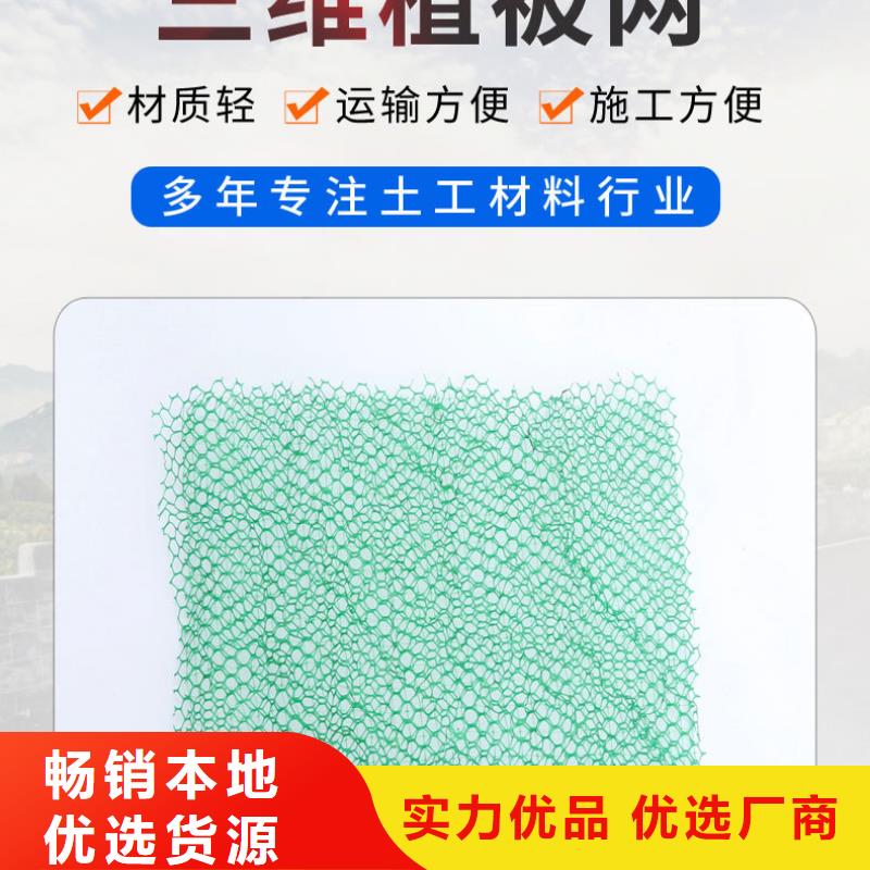 三維植被網土工膜廠家直銷省心省錢