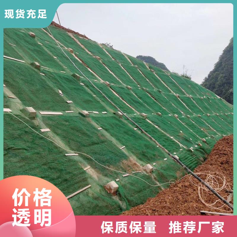 三維植被網(wǎng)土工膜實(shí)拍展現(xiàn)