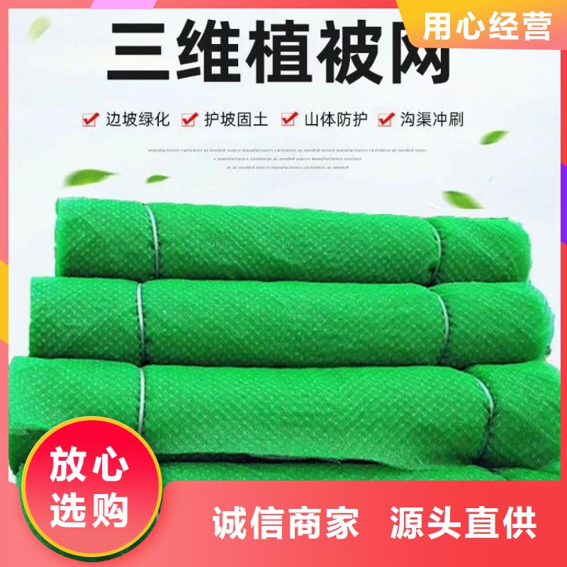 三维土工网图片品牌保证