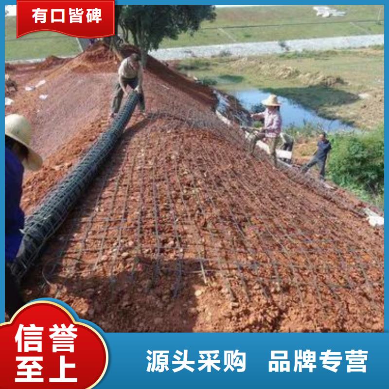 土工格柵規格齊全價格