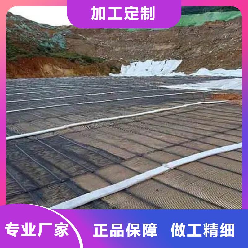 塑料格柵規格齊全廠家