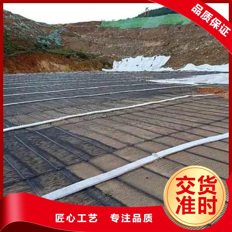 土工格柵質量保證廠家