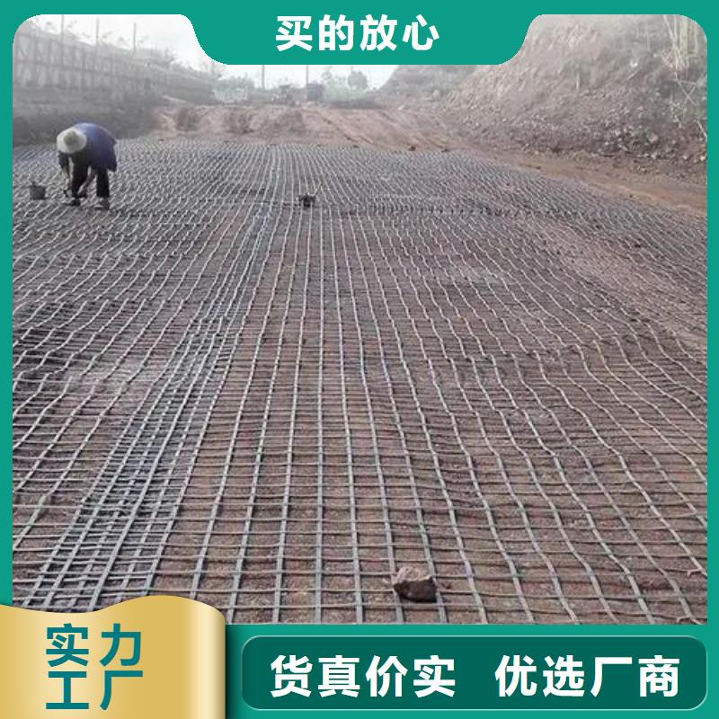 鋼塑土工格柵品質優(yōu)電話
