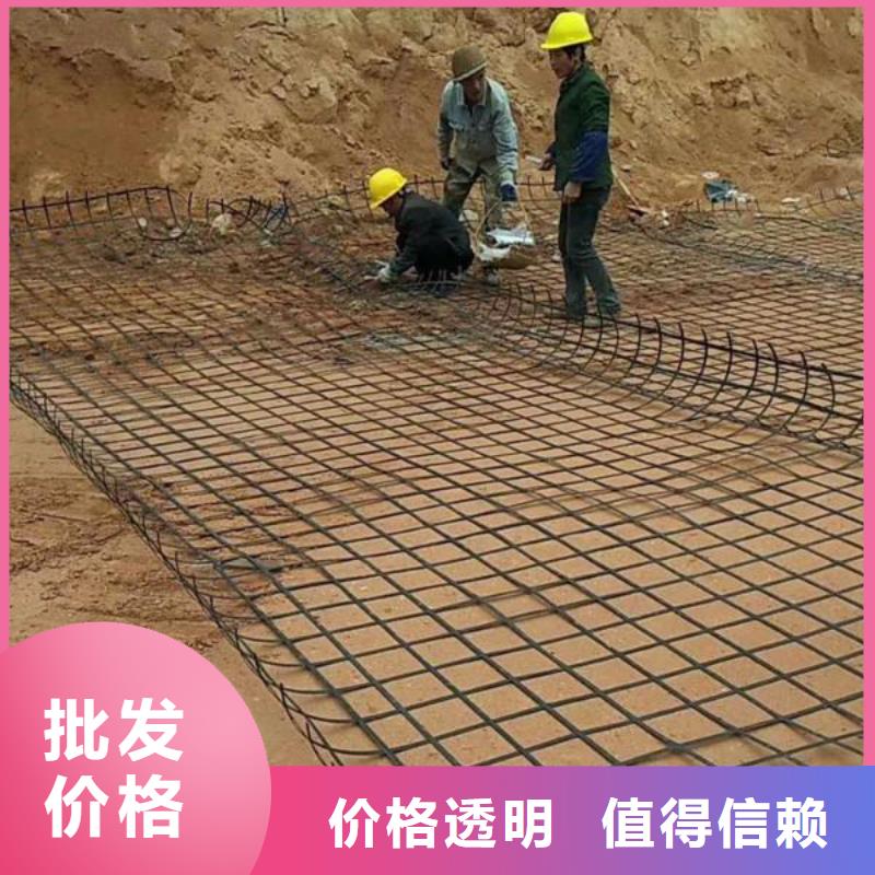 鋼塑土工格柵近期行情廠家