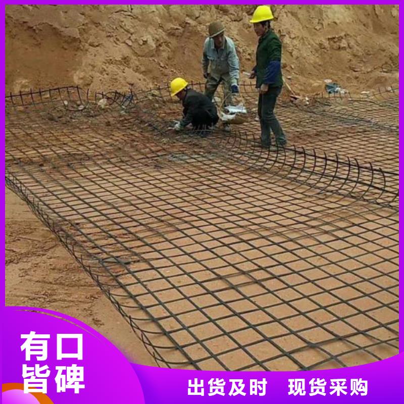 土工格柵質量保證廠家