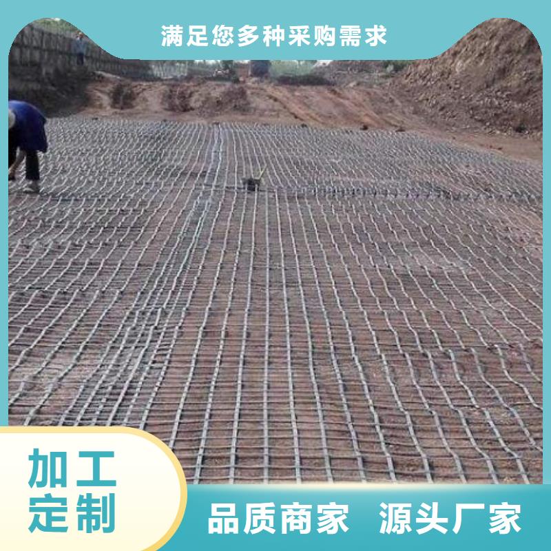 文昌市土工格柵價格公道廠家