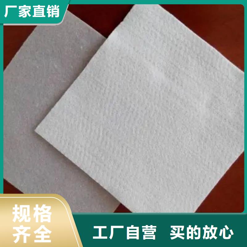 土工布【聚丙烯纖維生產廠家】源廠定制