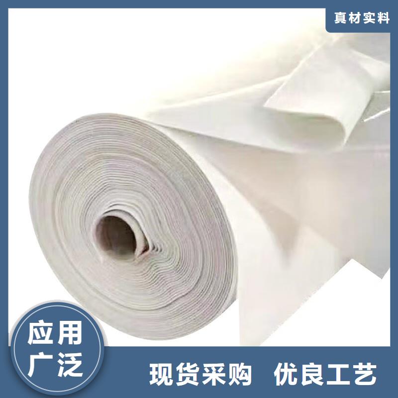 【土工布土工席墊快捷的物流配送】