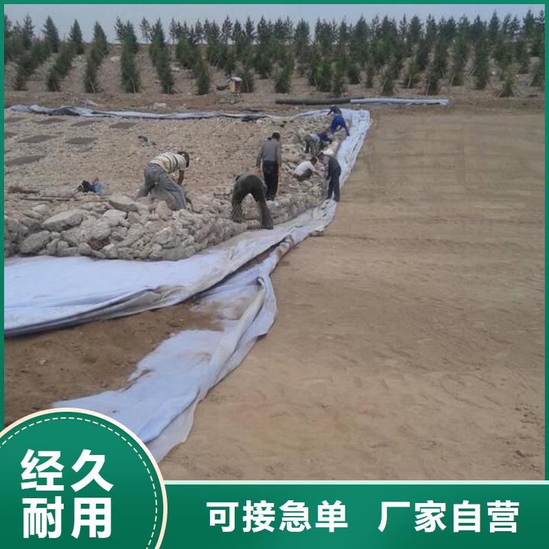 土工布_紫銅止水片廠家好貨有保障