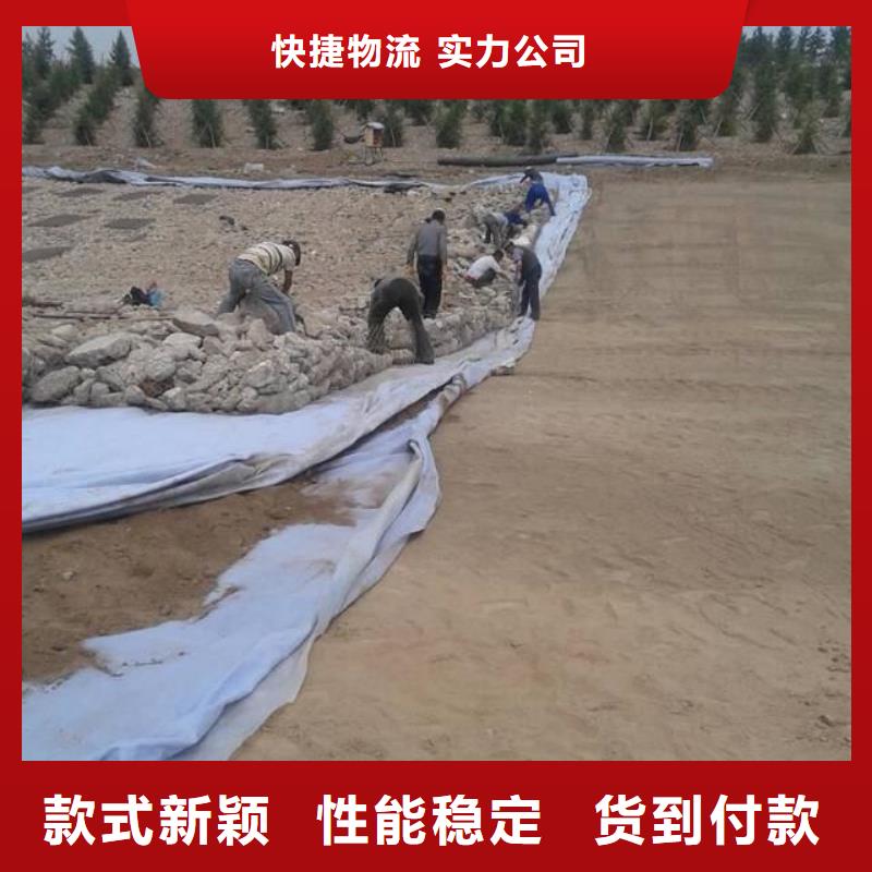 土工布砂漿混凝土纖維實(shí)拍品質(zhì)保障