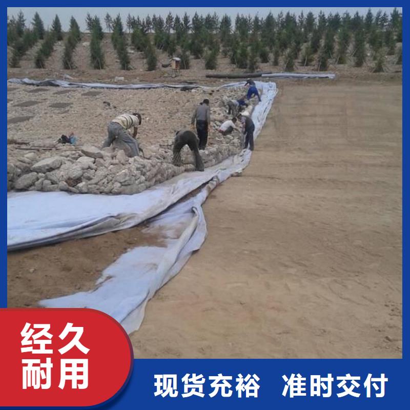 【土工布】土工格柵高標(biāo)準(zhǔn)高品質(zhì)