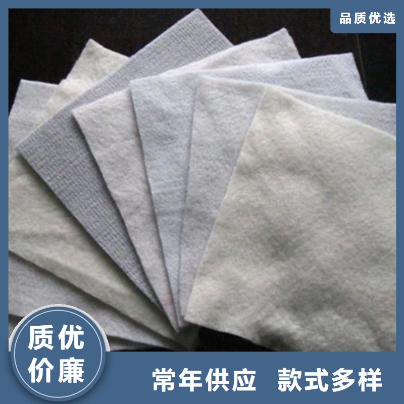 土工布【聚丙烯纖維生產(chǎn)廠家】源廠定制