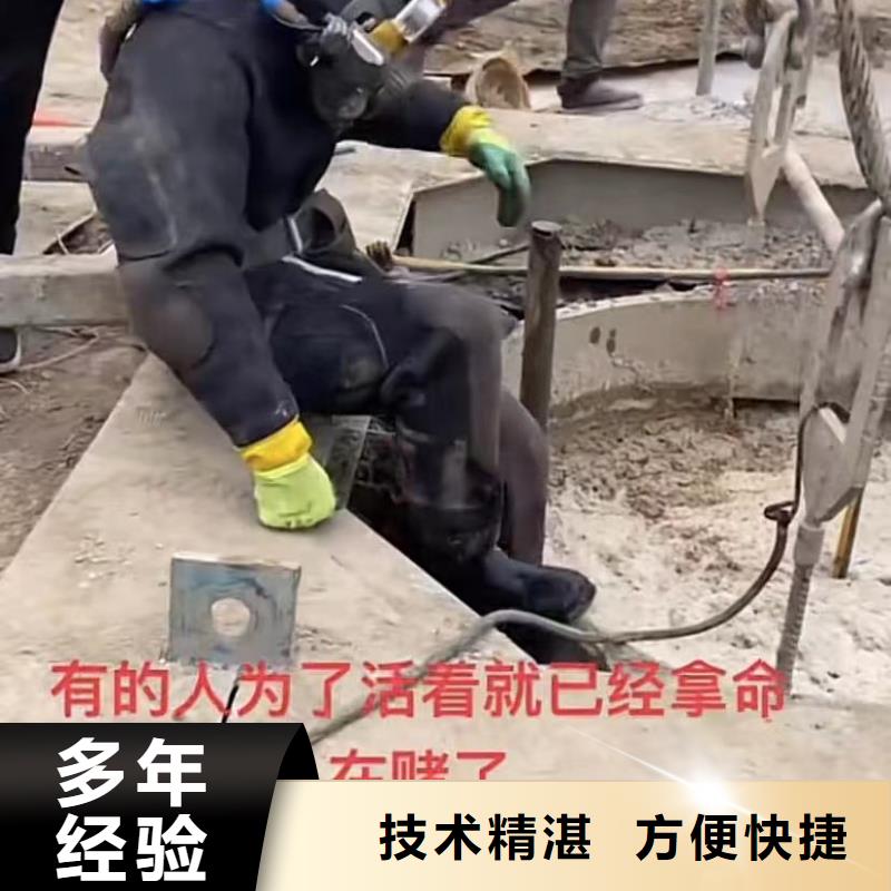 水下录像团队