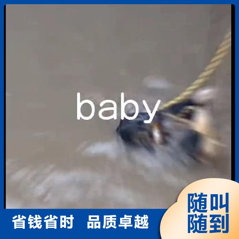 水下维修_水下清理口碑商家