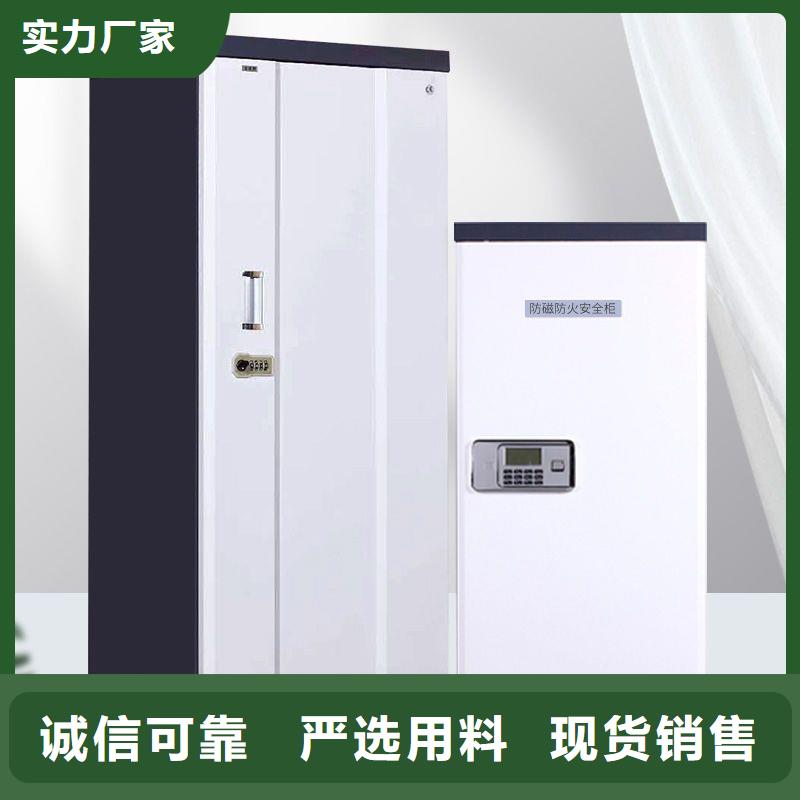 防磁柜_檔案柜廠家用心服務