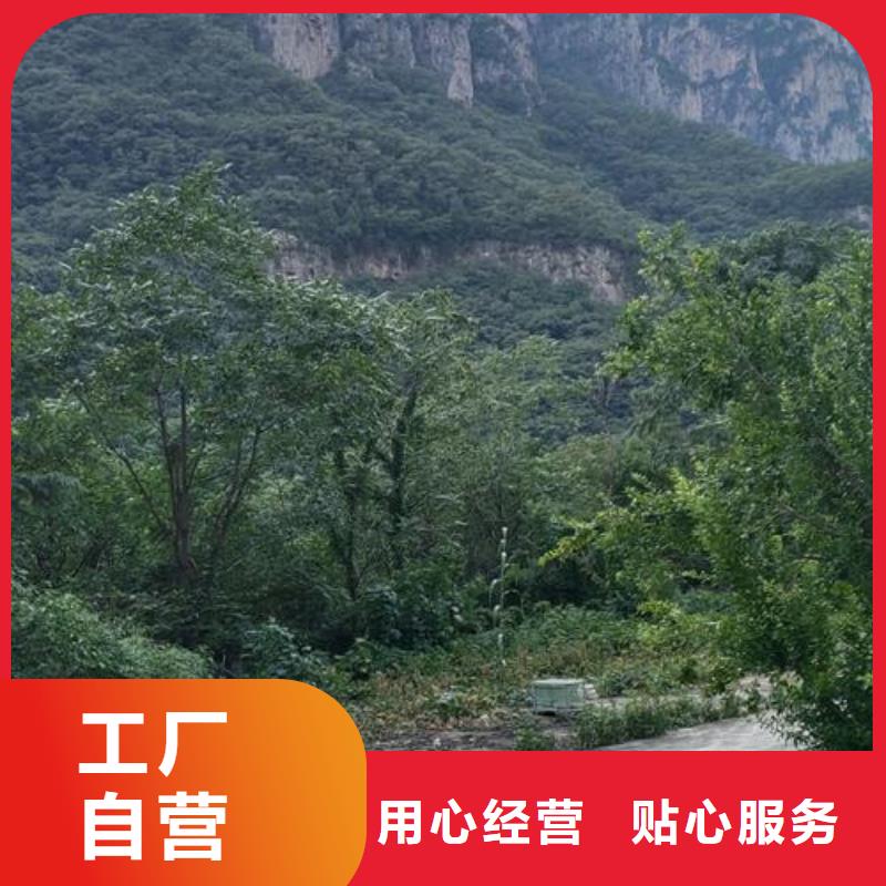 小型二次构造泵生产厂家种植基地晓科机械厂