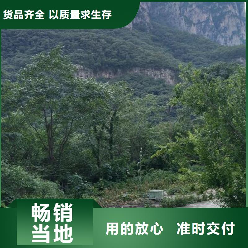 小型混凝土泵-细石混凝土输送泵N年专注