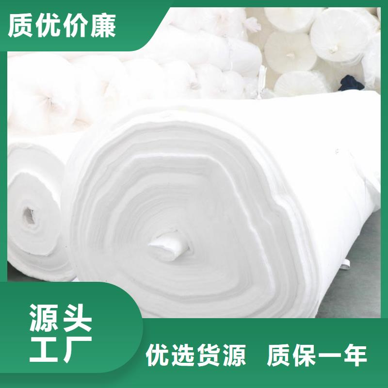 土工布拉筋帶實(shí)體誠(chéng)信廠家