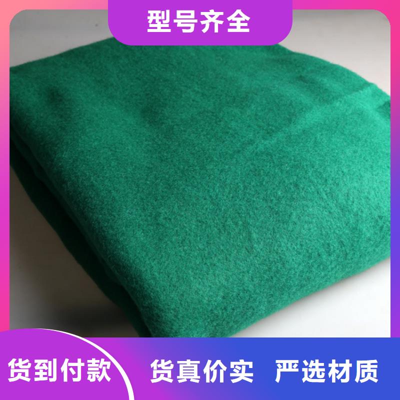 土工布-PP編織土工布