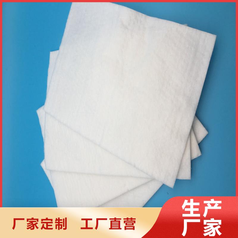 滌綸土工布-PET長絲無紡土工布