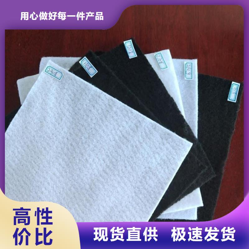 反濾土工布
