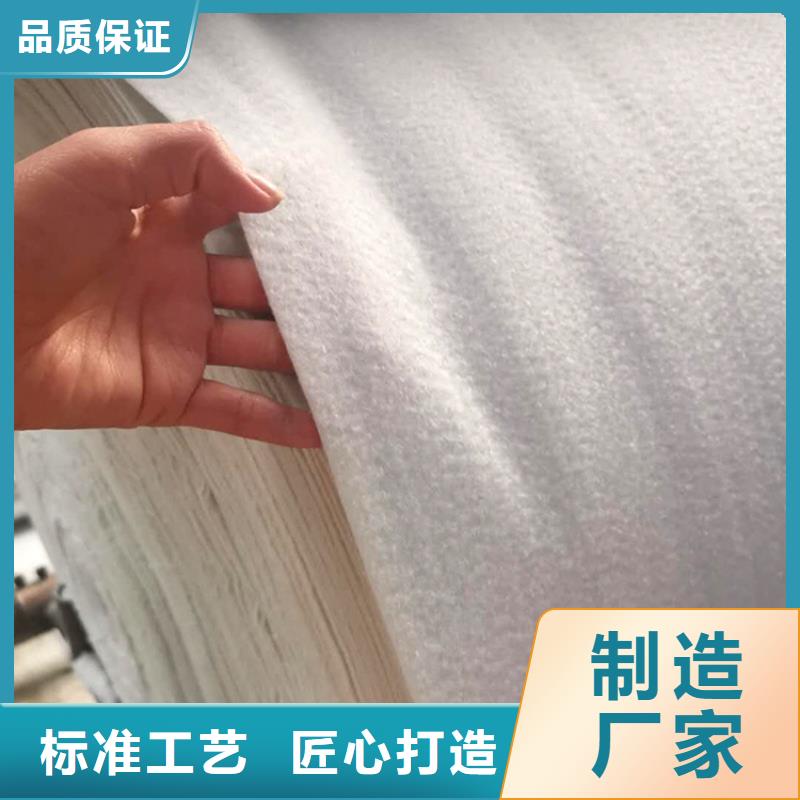 防滲土工布
