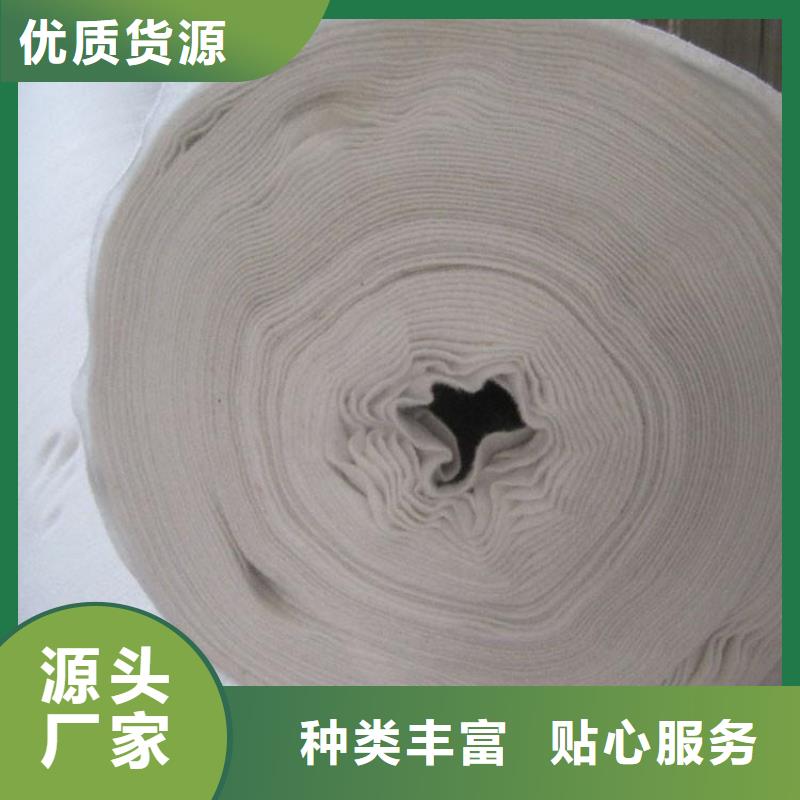土工布-PP編織土工布