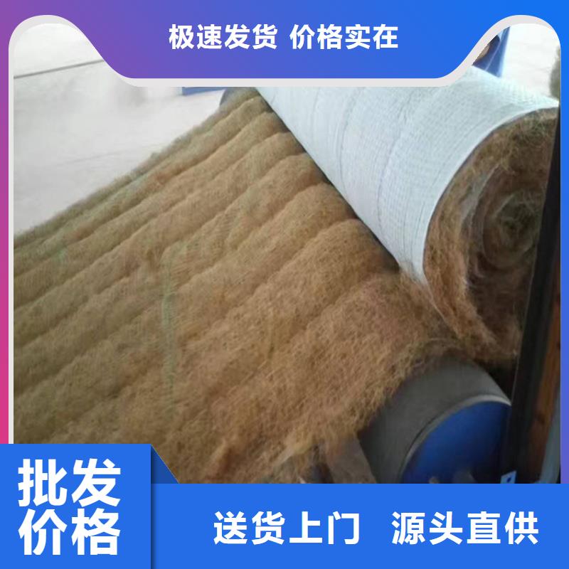 生態環保草毯有限公司/多少錢一平